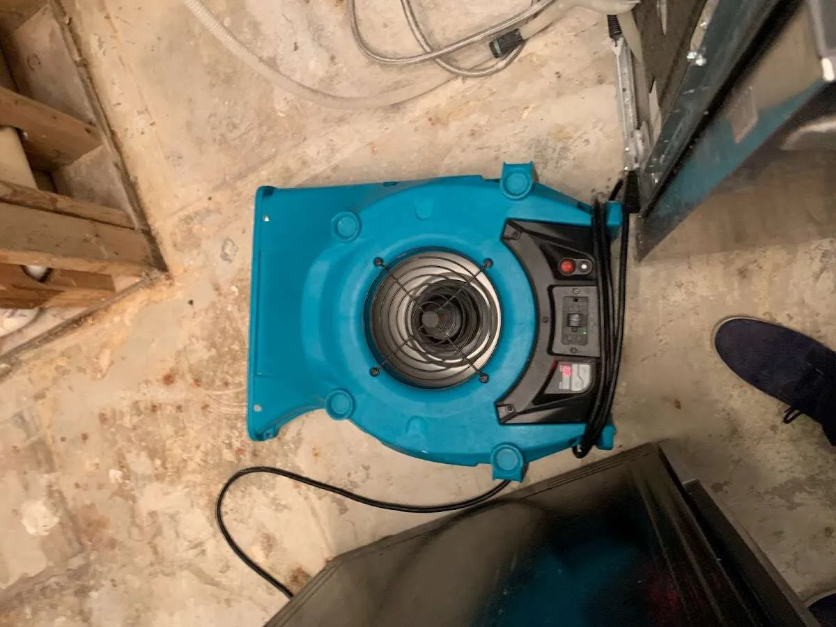 Air mover drying equipment for Mold Remediation & Removal in Riverton